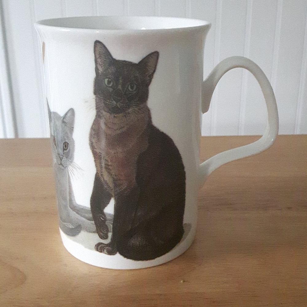 Roy Kirkham Cats Galore Mug